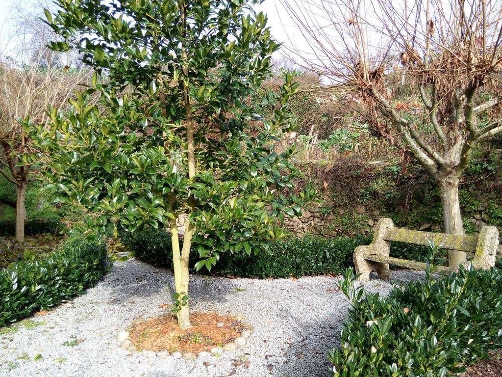 הוילה Casa Do Terrenho מראה חיצוני תמונה
